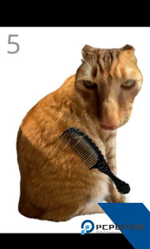 给猫梳毛 官方正版v1.0