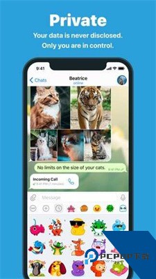 Telegram纸飞机下载安装