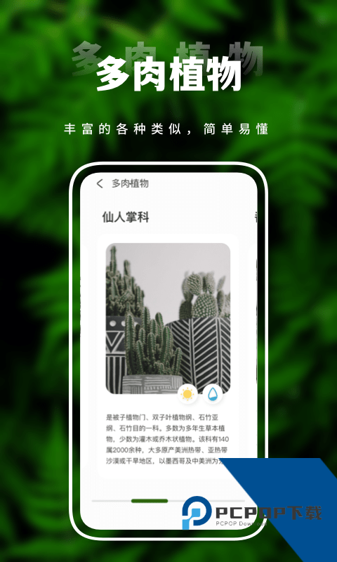害羞草生活视频在线免费观看