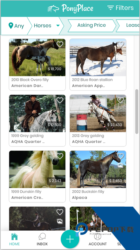 PonyPlace专业选马应用app下载 v0.0.68