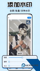 水印大师官方正版下载 v5.2.4