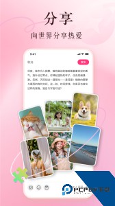 买买纷官方正版下载 v8.0.4