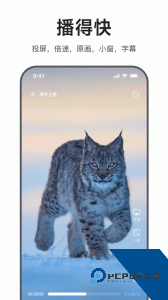 迅雷浏览器app官方正版下载 v2.16.0.10469
