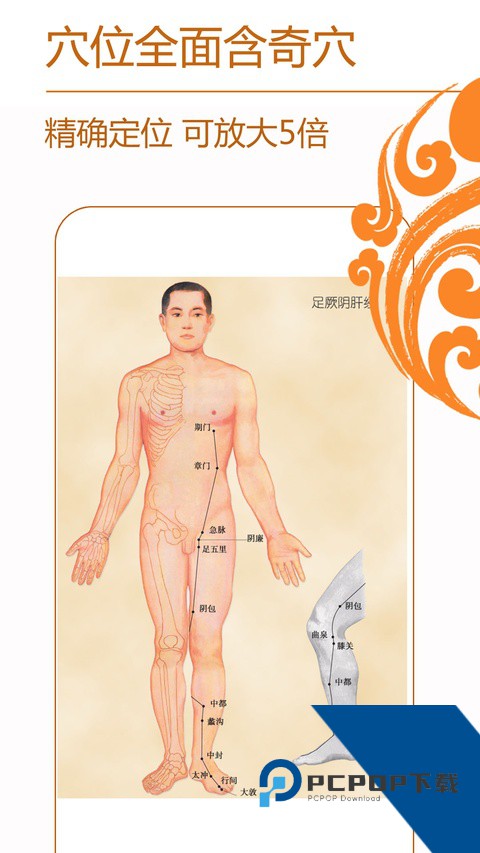经络养生app最新版下载 v4.0.5安卓版