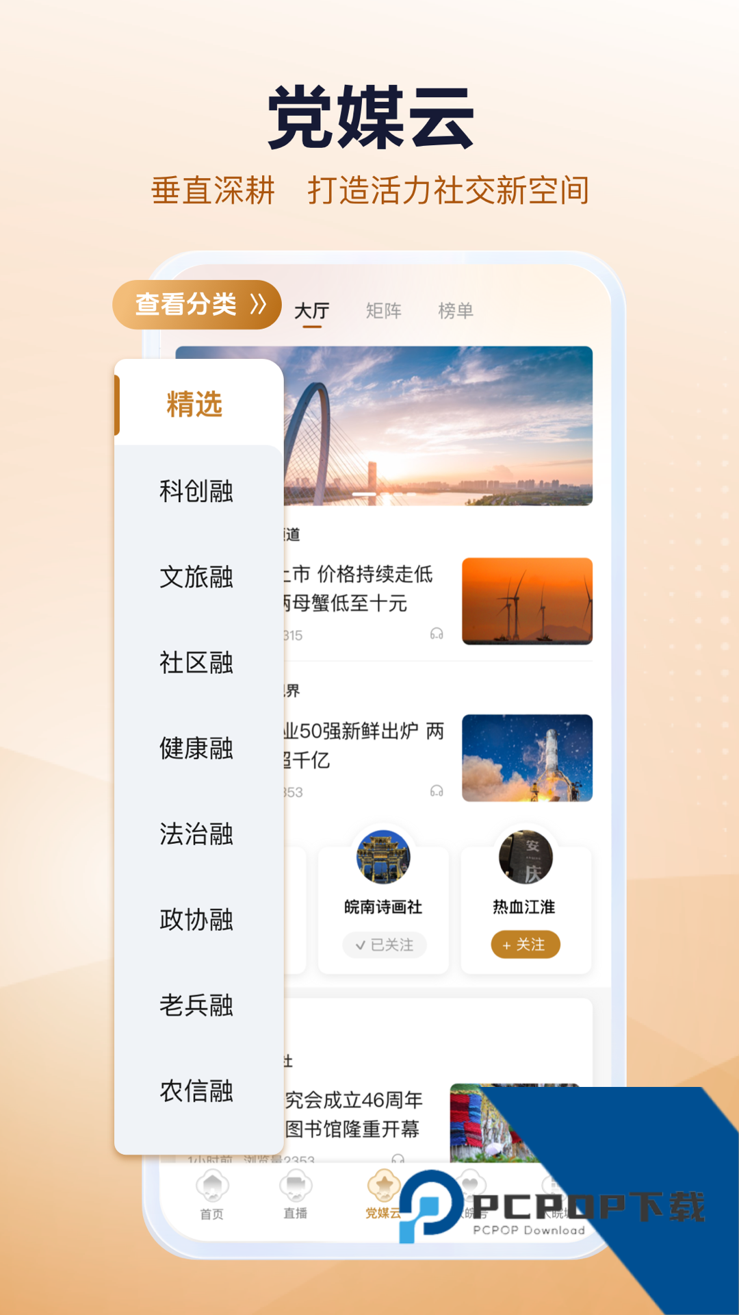 大皖Plus官方正版