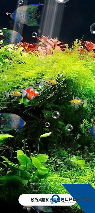水族馆动态壁纸桌面屏保下载安卓版v5.6.3