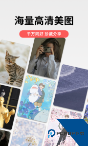 堆糖官方正版下载 v8.70.0