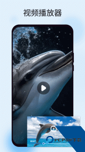 柠檬视频app