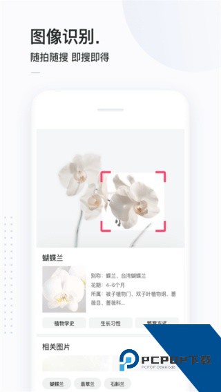 简单搜索旧版本下载v5.12手机版