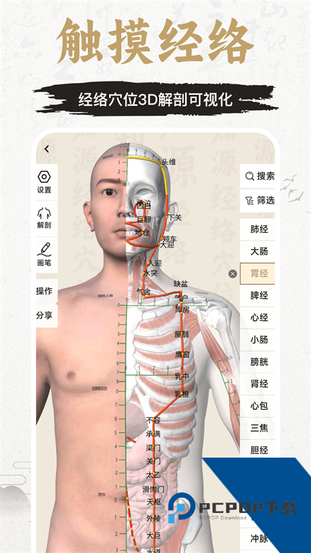 知源经络穴位app最新版本下载 v3.11.0安卓版