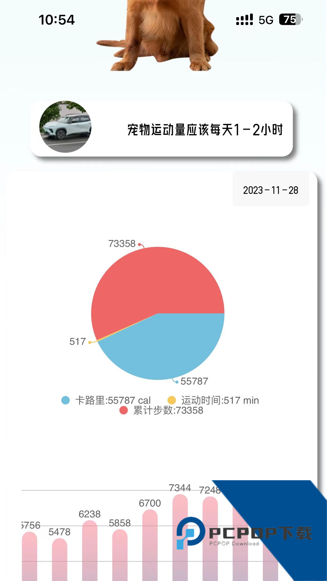 宠悦悦