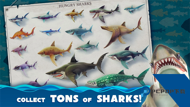 饥饿鲨世界(Hungry Shark) 安卓版v7.5.7