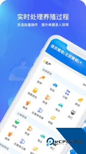 猪联网app官方正版下载 v5.10.37.1