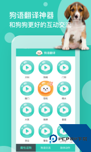狗语翻译官方正版客户端下载 v3.11