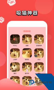 人猫交流器官方正版免费下载 v6.14.2026025415