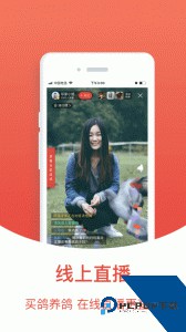 搜鸽天下官方正版下载 v2.2.3.0