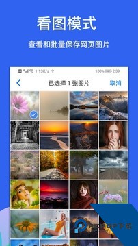 Alook浏览器下载安卓版v11.0