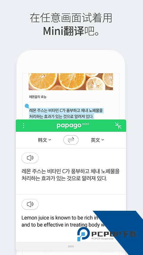 papago翻译最新版本2026下载v1.10.15